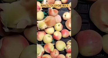 Nasıl oluyor bu? Meyvelerden çıkan köpekler? #fruit #trending #insects #viralvideo #hayvanlar #funny