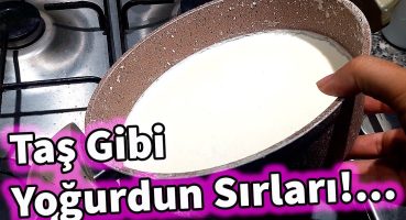 Probiyotik Taş Gibi Yoğurt Nasıl Yapılır? TÜM DETAYLAR ,@bilimselmutfak