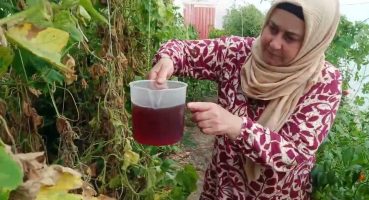 Biberleriniz Coşsun,  Bunu Yapın, Biberleniniz Boy Atsın,  Çiçeklensin, Bol Bol Biber Versin Bakım