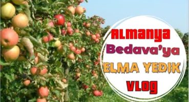 Almanya’da doğada bir gün | Almanya’da Bahçeler | Bedava Elma Armut .