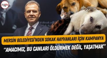 Mersin Büyükşehir Belediye Başkanı Seçer’den, sokak hayvanları için kampanya! Mersinlilere çağrı! Fragman İzle