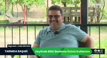 ZEYTİNDE BİTKİ BESLEME ÜRÜNÜ KULLANIMI | TARIMDA BAŞARI Bakım