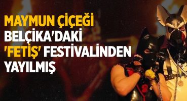 Büyük Panik Yaratan Maymun Çiçeği Belçika’daki ‘Fetiş’ Festivalinden Yayılmış