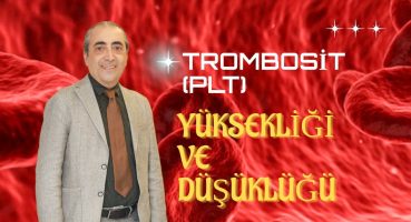 Trombosit (PLT) Yüksekliği ve Düşüklüğü Neden Olur?