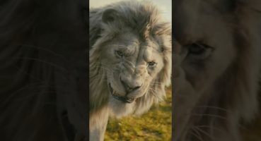 Mufasa 2:  The Lion King trailer Fragman izle