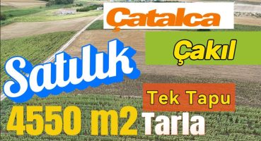 Çatalca Çakıl’da Satılık Tek Tapu 4550 m2 Tarla Satılık Arsa