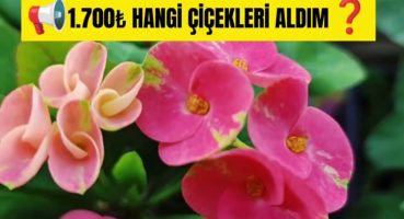 📢1.700₺ ALDIĞIM GÜZELLİKLER❓İZİN DÖNÜŞÜ BENİ BALKONDA HANGİ SÜPRİZLER BEKLEMİŞ❓ Bakım