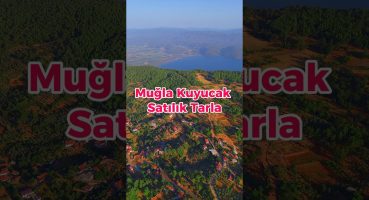 MUĞLA KUYUCAK SATILIK TARLA | #köyegöç #emlak #arsa #şehirdenköye #tinyhouse #akyaka #gayrimenkul Satılık Arsa