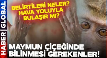 Maske, Aşı, Kapanma… Kabus Geri Mi Dönüyor? Maymun Çiçeği Virüsü Nasıl Bulaşır? Belirtileri Neler?