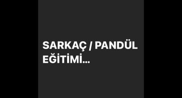 ÜCRETSİZ SARKAÇ PANDÜL EĞİTİMİ…