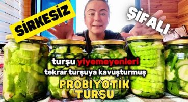 Probiyotik Turşu Tarifi Laktofermente Sirkesiz Turşu Nasıl Yapılır? #kendineyetenyuva