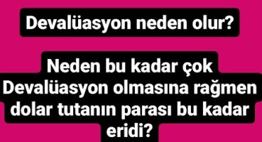 Devalüasyon neden olur?onca devalüasyona rağmen neden dolar tutanın parası eridi?