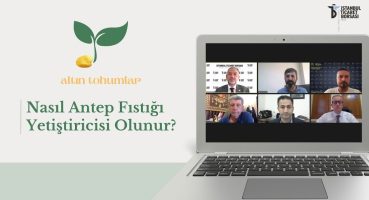 İSTİB Altın Tohumlar ”Nasıl Antep Fıstığı Yetiştiricisi Olunur?” 14.08.2024 Bakım