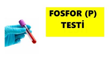 FOSFOR (P) YÜKSEKLİĞİ VE DÜŞÜKLÜĞÜ NEDEN OLUR?