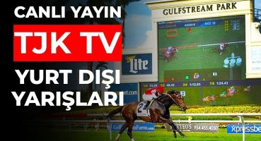 TJK TV Yurt Dışı Canlı Yayın