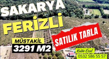 Sakarya Ferizli Damlık Köyü satılık Fındık Bahçesi Olan Tarla Satılık Arsa