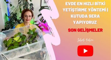 Evde En Hızlı Bitki Yetiştirme Yöntemi | Kutuda Sera Yapıyoruz | Son Gelişmeler Bakım