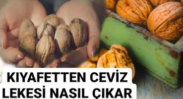 KIYAFETTEN CEVİZ LEKESİ NASIL ÇIKAR ❓