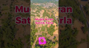 Muğla Menteşe Kıran Satılık Tarla | #emlak #muğla #gayrimenkul #arsa #tarla #satılık #yatırım Satılık Arsa