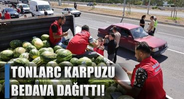 Tonlarca Karpuzu Tarladan Ücretsiz Dağıttılar / AGRO TV HABER