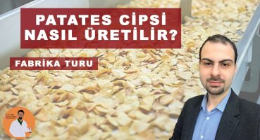 PATATES CİPSİ NASIL YAPILIR? [#cips FABRİKA TURU!]