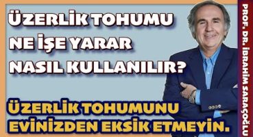 MANEVİ HASTALIKLARINIZ İÇİN BİR ŞİFA KAYNAĞI #üzerliktohumu #nazar #büyü #göz #ibrahimsaraçoğlu Bakım