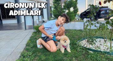 CİROYU İLK DEFA DIŞARI ÇIKARDIK !! CİRONUN İLK ADIMLARI