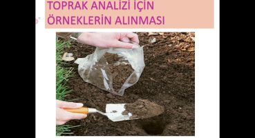 Toprak Numunesi alma ve TOPRAK ANALİZİ Bakım