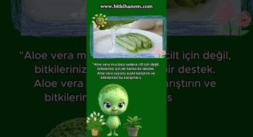 🌱 Bitki bakımında 3 mükemmel tüyo 🌱 #bitkibakımı #bitki  #bitkihanem Bakım